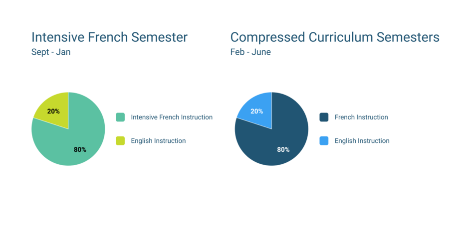 intensive french infographic
